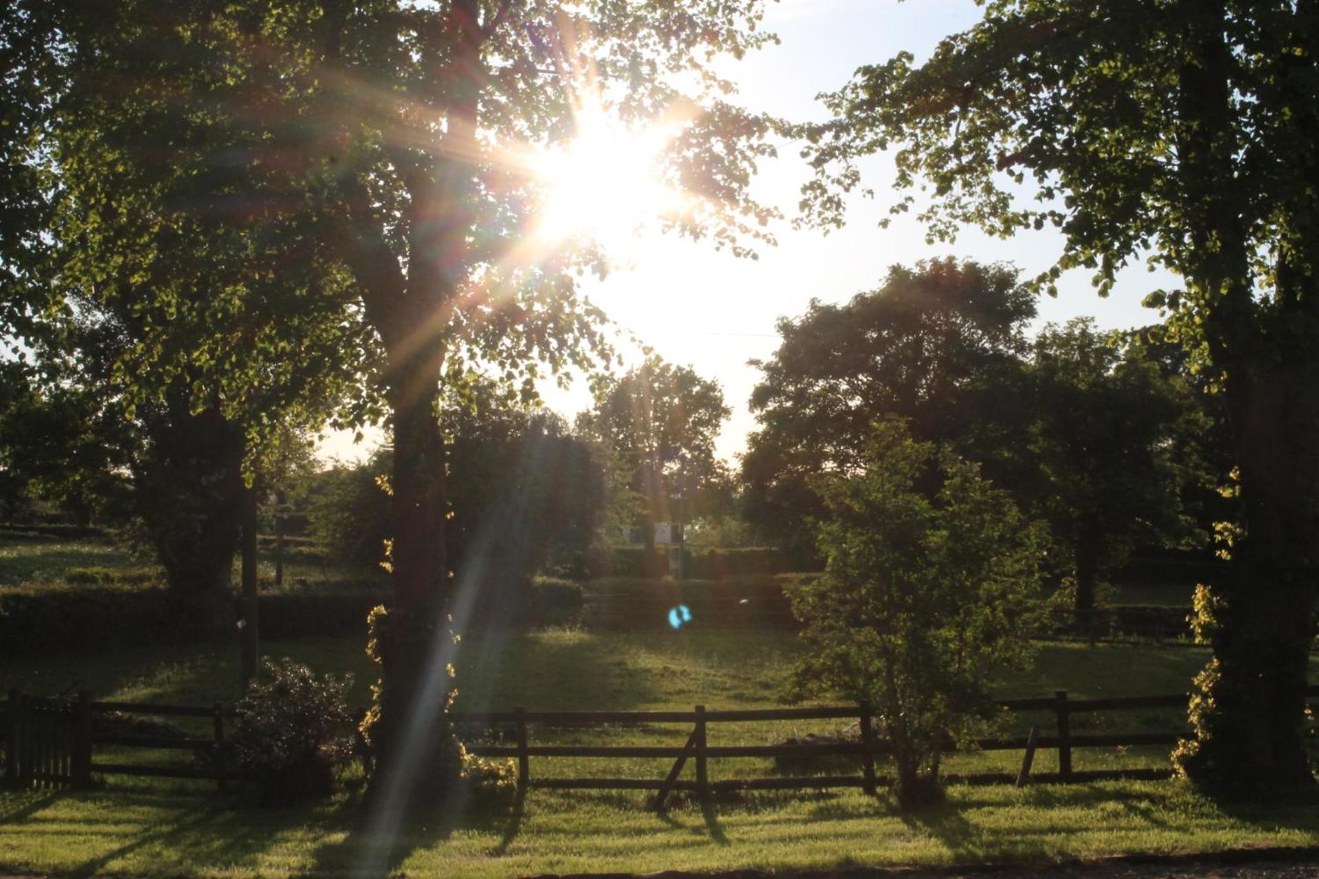 The Jockey Room Hideaway Spurstow Exterior foto