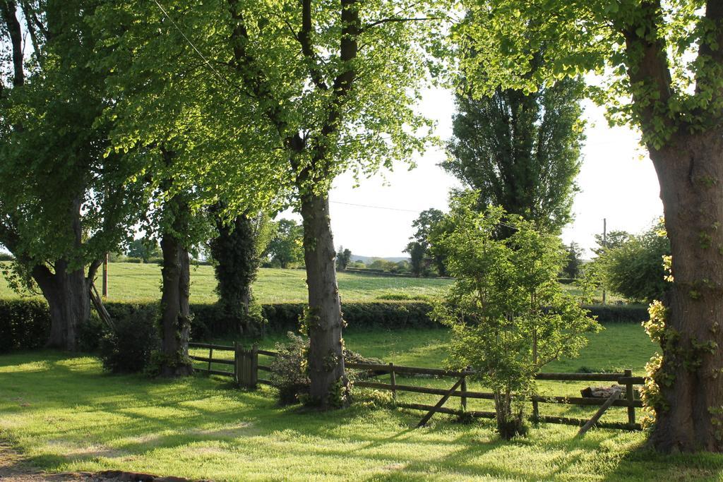 The Jockey Room Hideaway Spurstow Exterior foto